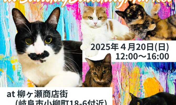 ふれあい大歓迎！あなたの新しい家族が見つかるかも？2025年4月の保護猫譲渡会🐈岐阜店