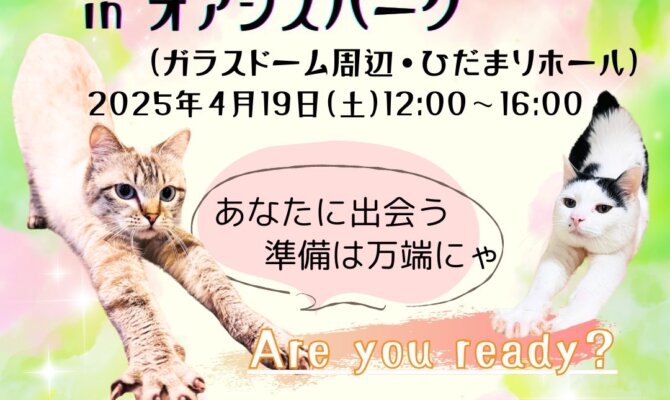 ただの出会いじゃない。“家族”になるための保護猫譲渡会＠オアシスパーク