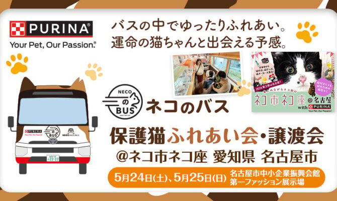 ネコのバス保護猫譲渡会＠ネコ市ネコ座　名古屋にネコのバスがやってくる！バスの中でゆったりふれあい、運命の家族と出会える予感！